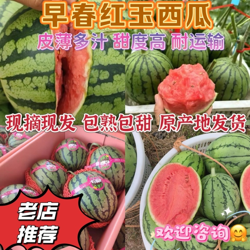 早春红玉西瓜手剥西瓜2k小糖丸全国代发皮薄熟度好货源充足