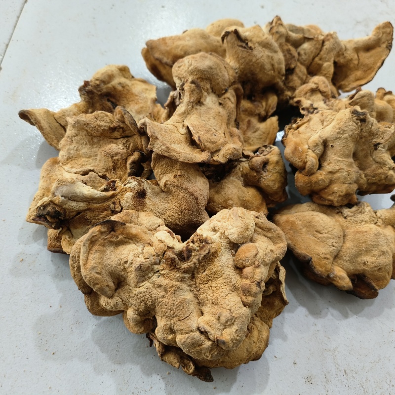 东北特产榆耳新货食用菌肉厚无根非野生包邮