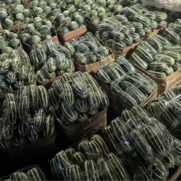 【热卖店】博洋9号甜瓜,脆甜可口,大量现货,电商市场可发