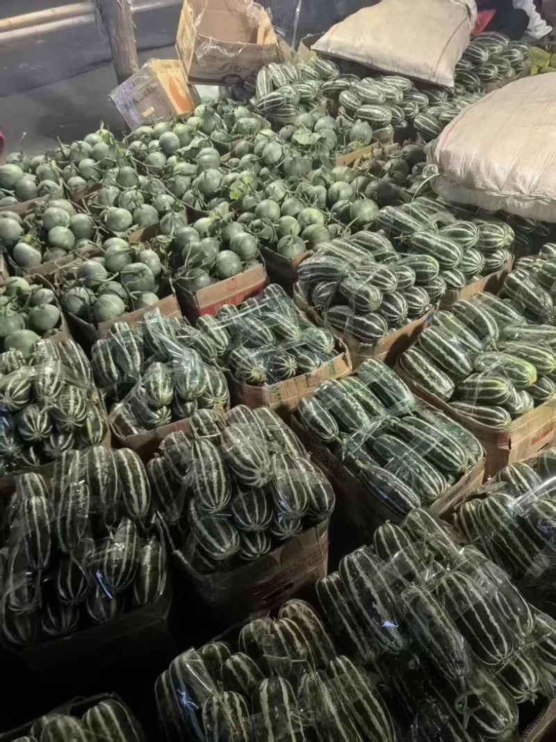 【热卖店】博洋9号甜瓜，脆甜可口，大量现货，电商市场可发