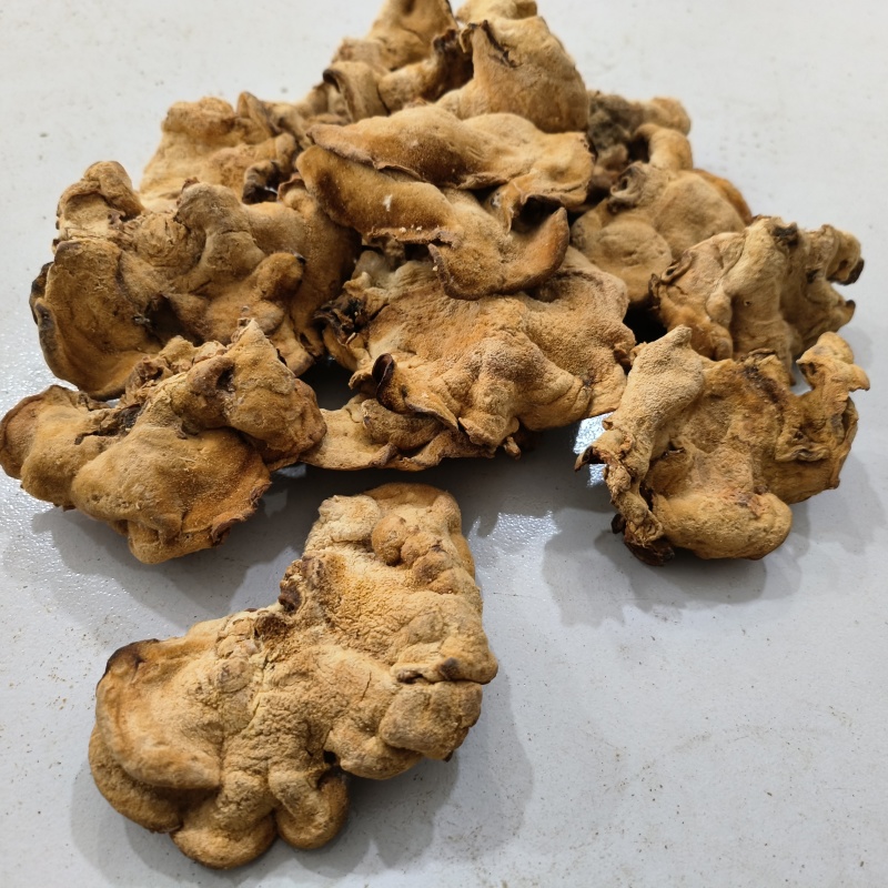东北特产榆耳新货食用菌肉厚无根非野生包邮