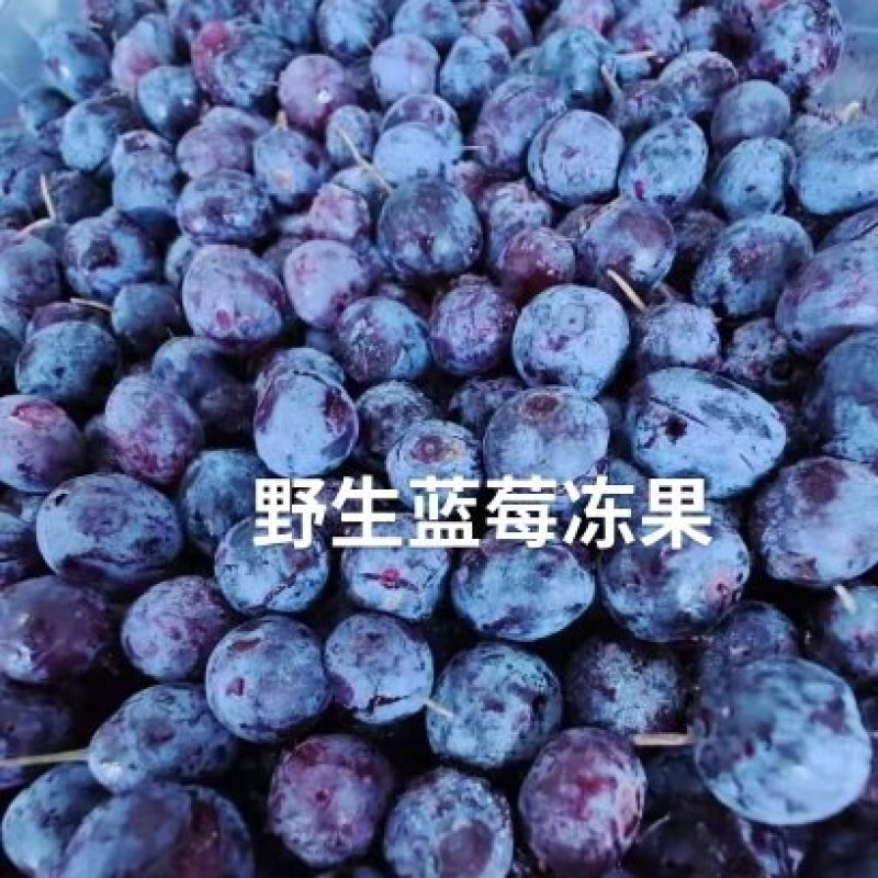 冷冻蓝莓