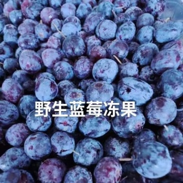 冷冻蓝莓