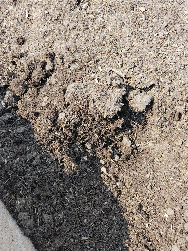 育苗用松针腐殖土