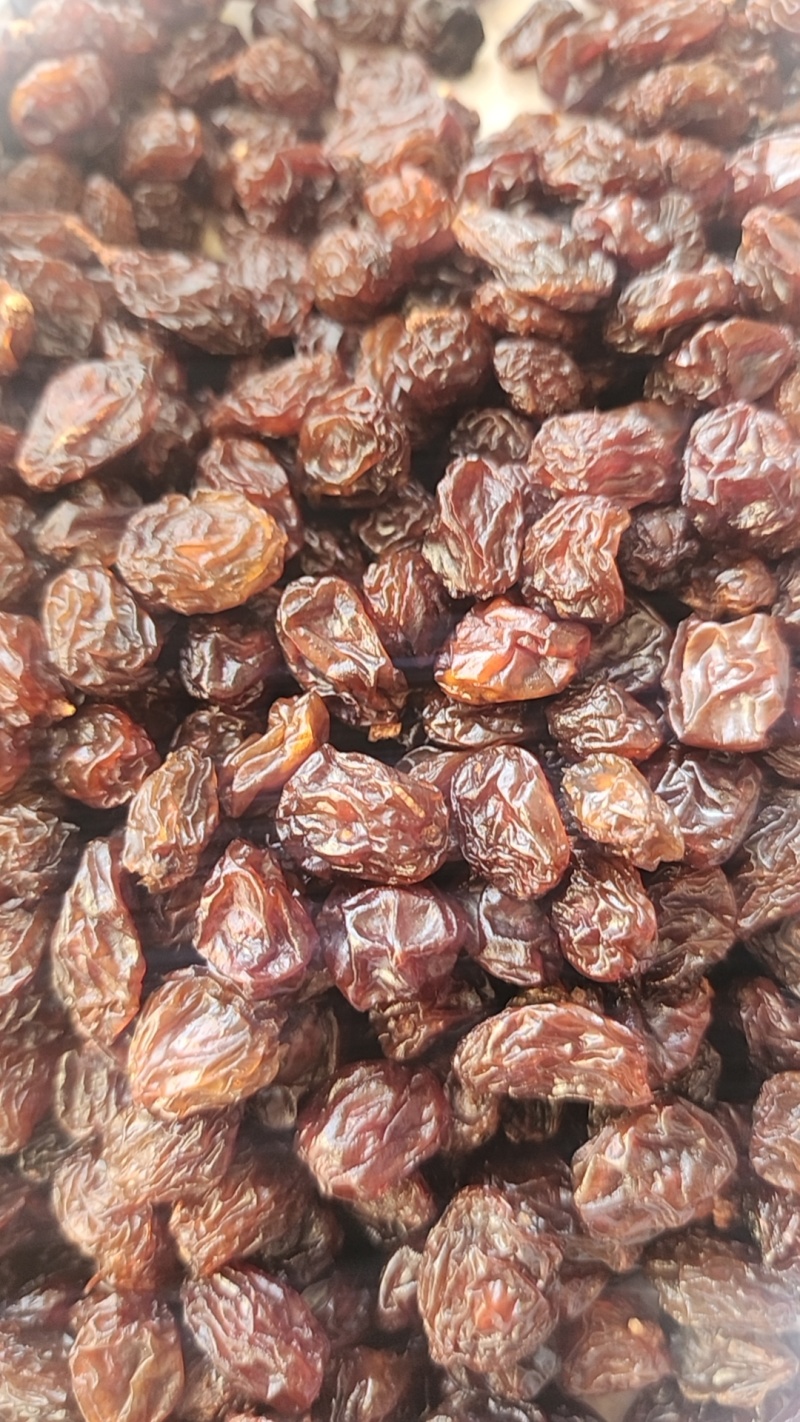 红葡萄干（带籽）