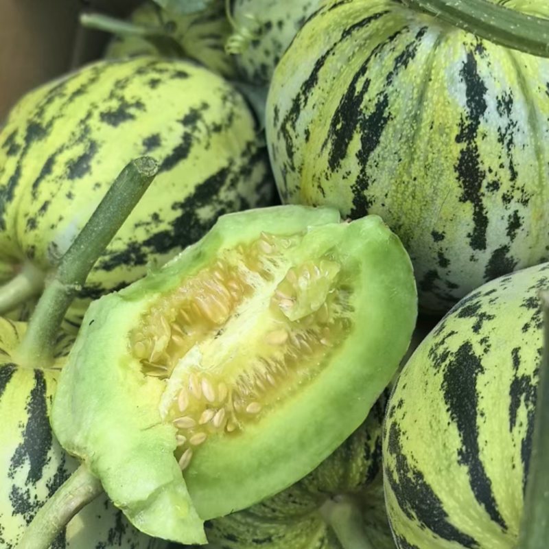 河南精品花蕾甜瓜，脆甜多汁，可对接市场商超