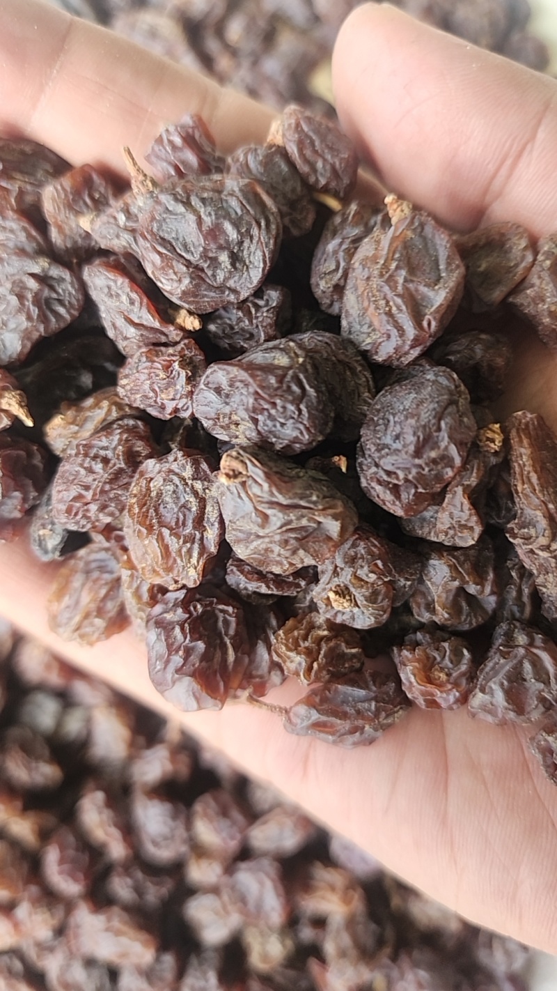 红葡萄干（带籽）