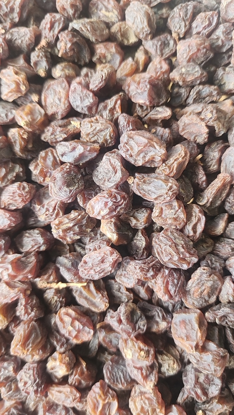 红葡萄干（带籽）