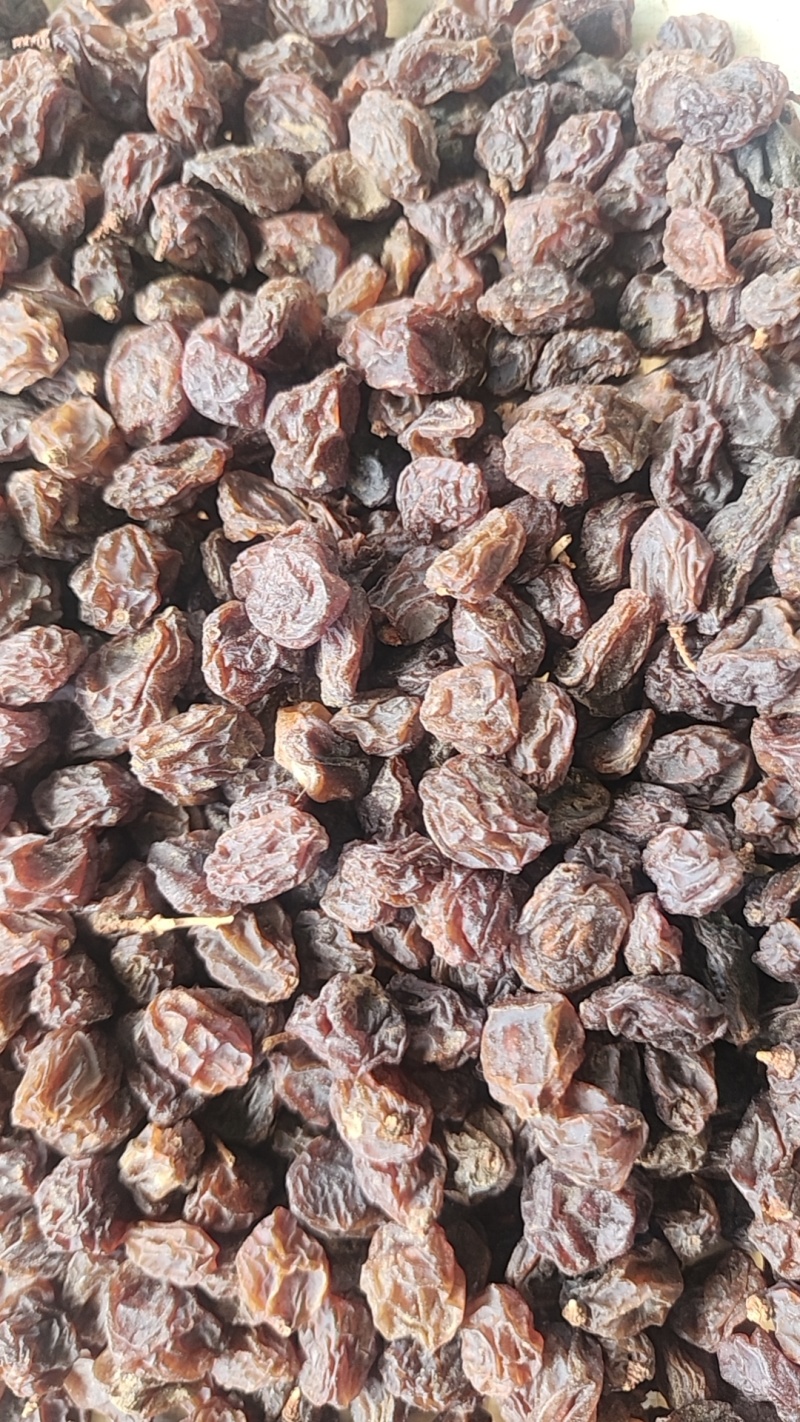 红葡萄干（带籽）