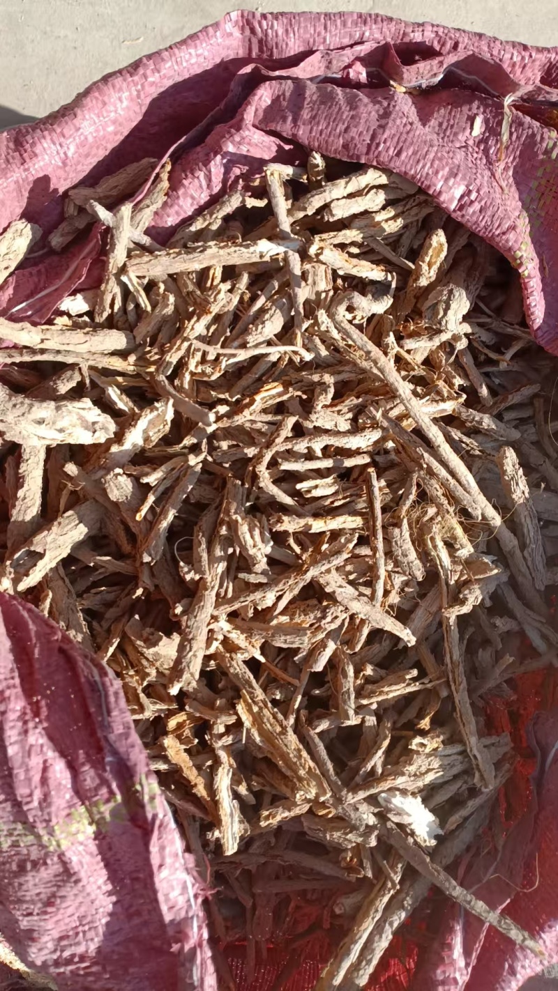 地骨皮