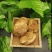 东北特产养生菌正宗干货猴头菇新鲜非精品非野生包邮