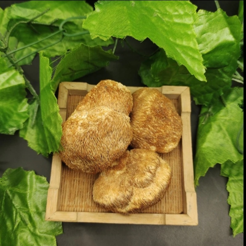 东北特产养生菌正宗干货猴头菇新鲜非精品非野生包邮