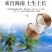 海南椰丝批发13907全国招代理570580全年有货！