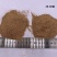 厂家直销抛光核桃壳毛刺用核桃壳填充洗手液滤料用果壳