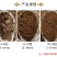 厂家直销抛光核桃壳毛刺用核桃壳填充洗手液滤料用果壳