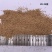 厂家直销抛光核桃壳毛刺用核桃壳填充洗手液滤料用果壳