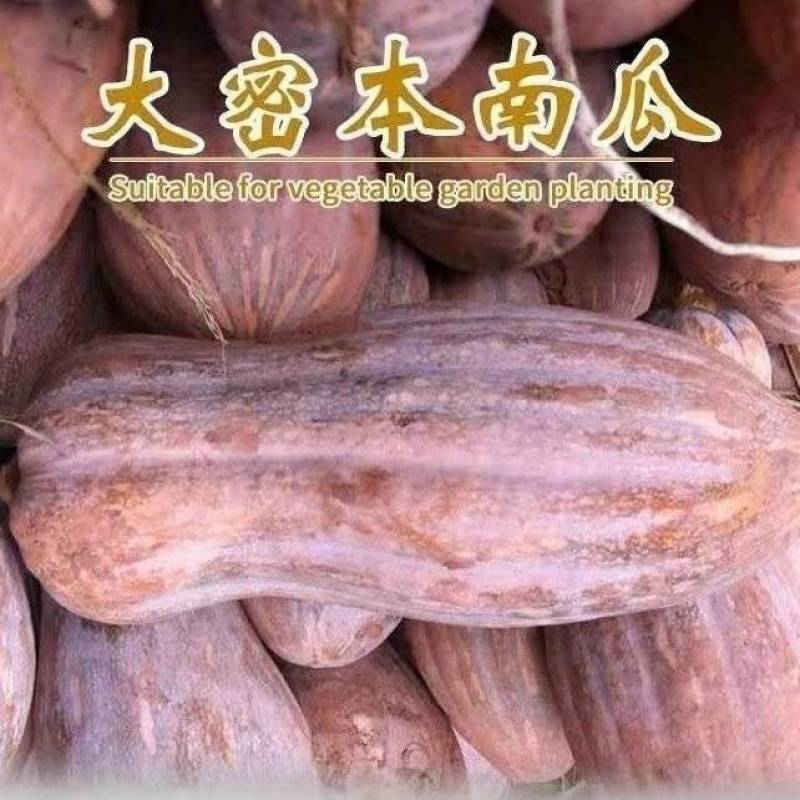 【推荐】海南蜜本南瓜，社区团购，供应链，市场档口，质量