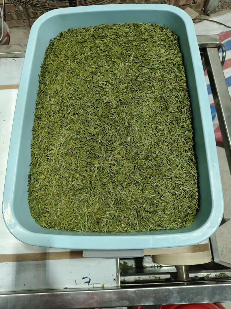 四川宜宾中都高山炒青莲心