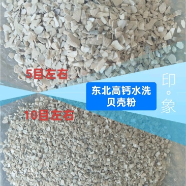 东北高钙水洗贝壳粉，石粉，大量现货，34吨起发