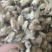 【辛夷花】无硫磺天然干货实拍现货保证正品正品保证