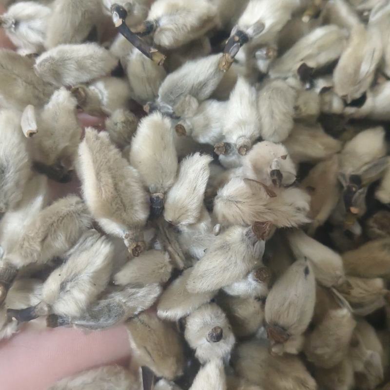 【辛夷花】无硫磺天然干货实拍现货保证正品正品保证