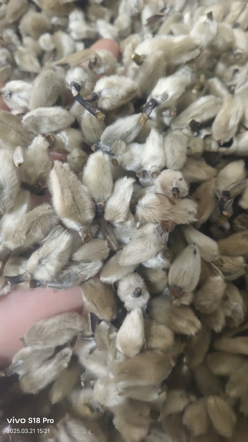 【辛夷花】无硫磺天然干货实拍现货保证正品正品保证