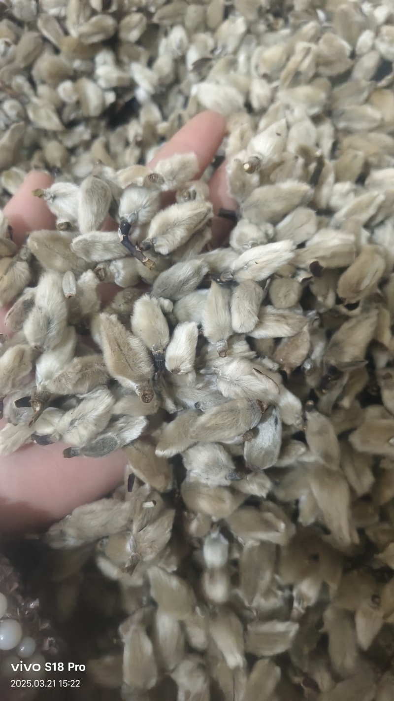 【辛夷花】无硫磺天然干货实拍现货保证正品正品保证