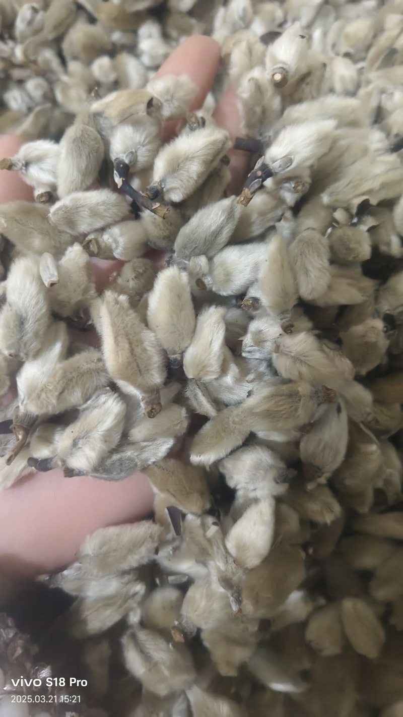 【辛夷花】无硫磺天然干货实拍现货保证正品正品保证