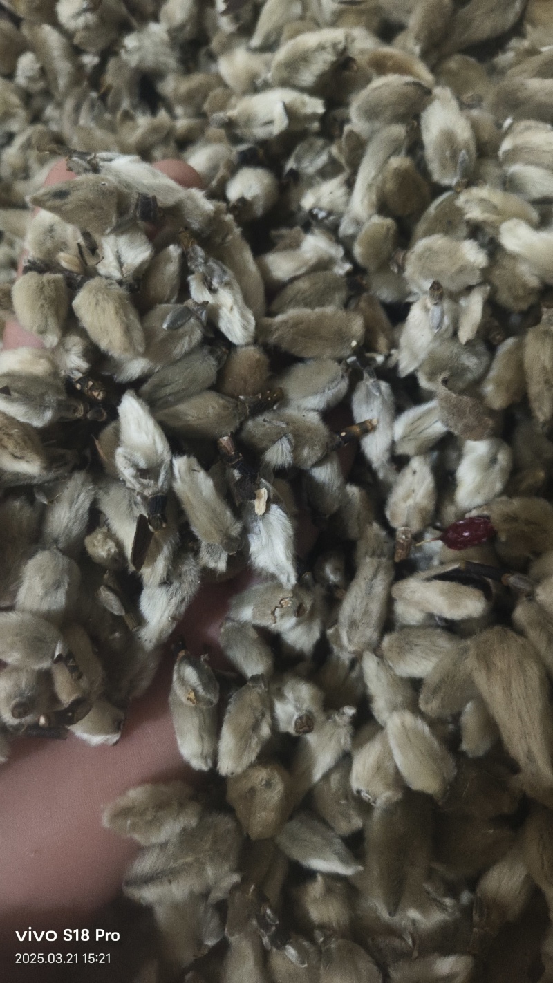 【辛夷花】无硫磺天然干货实拍现货保证正品正品保证