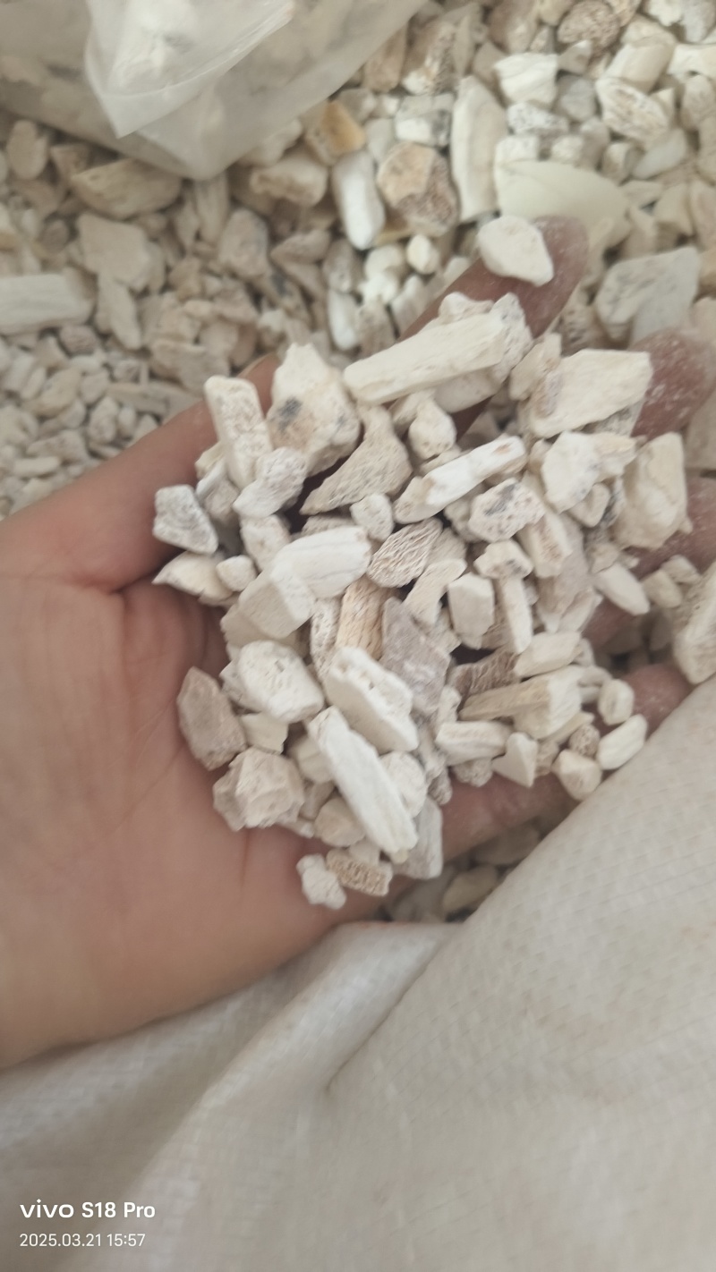 【龙骨】生龙骨正品龙骨只做正品非正勿扰