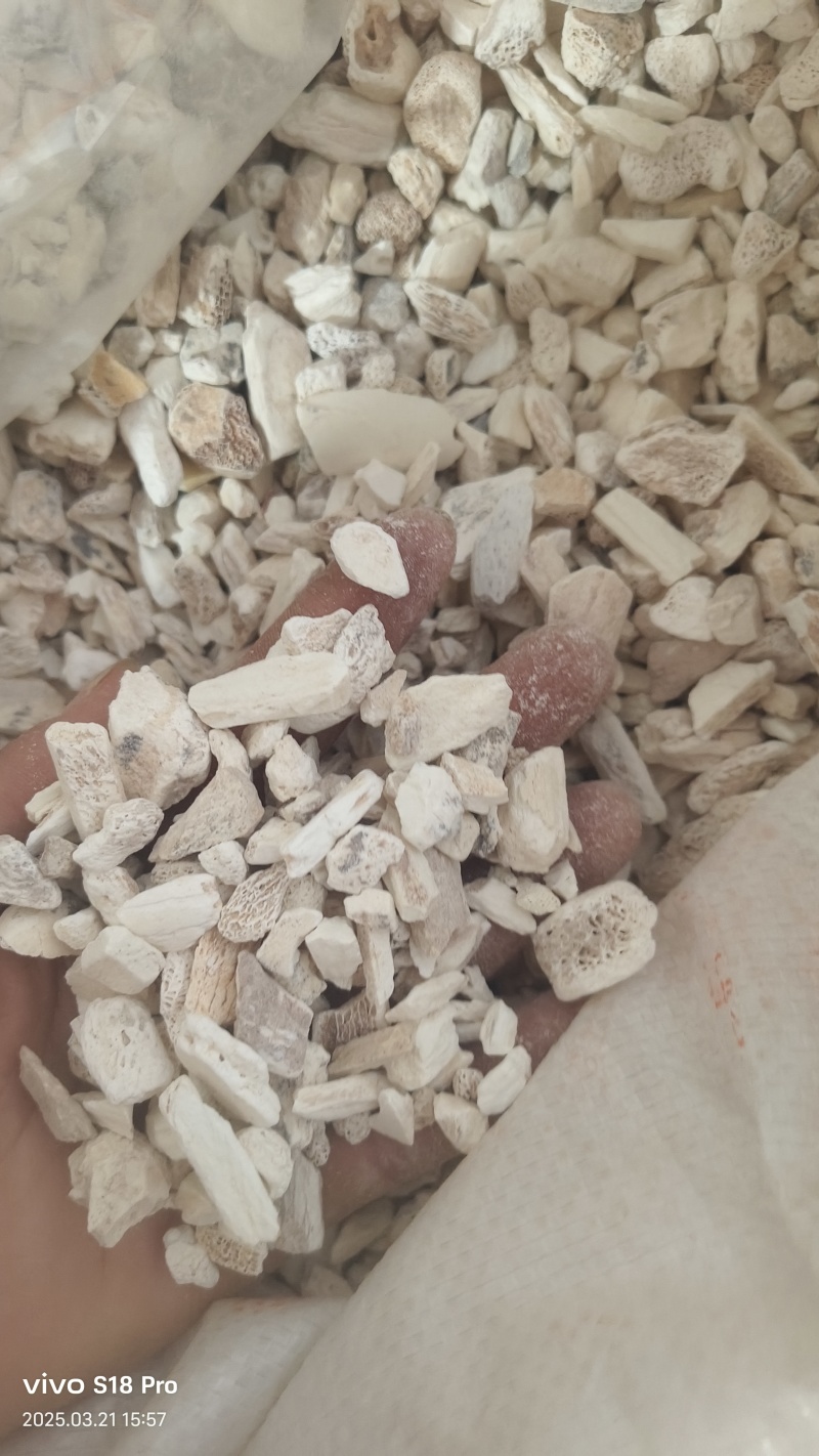 【龙骨】生龙骨正品龙骨只做正品非正勿扰