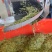 浙江西湖龙井43龙井新茶包邮