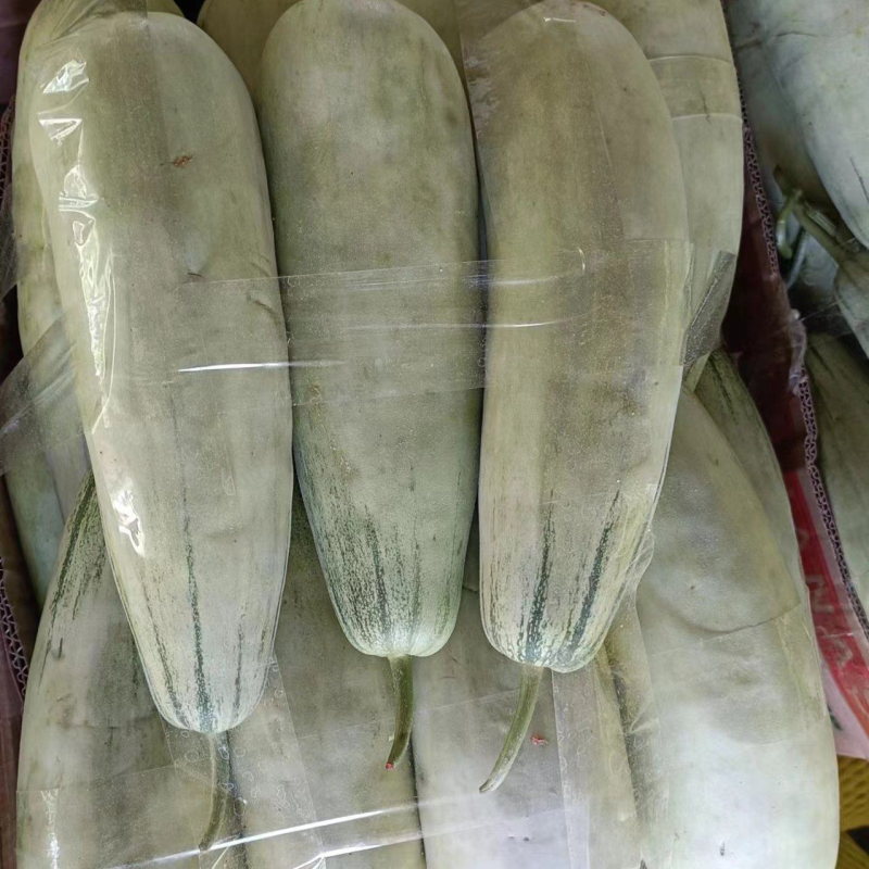 精品羊角蜜甜瓜博洋甜瓜61产地供应规格齐全基地直发