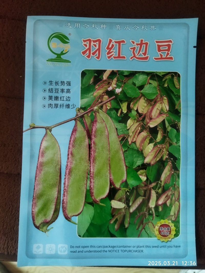 红羽边豆早熟食荚型扁豆呈紫红色肉厚纤维少口感软糯采收期长