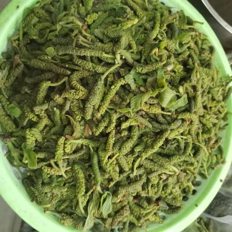 推荐野菜构树花小时候的味道现摘现发价格实惠欢迎联系