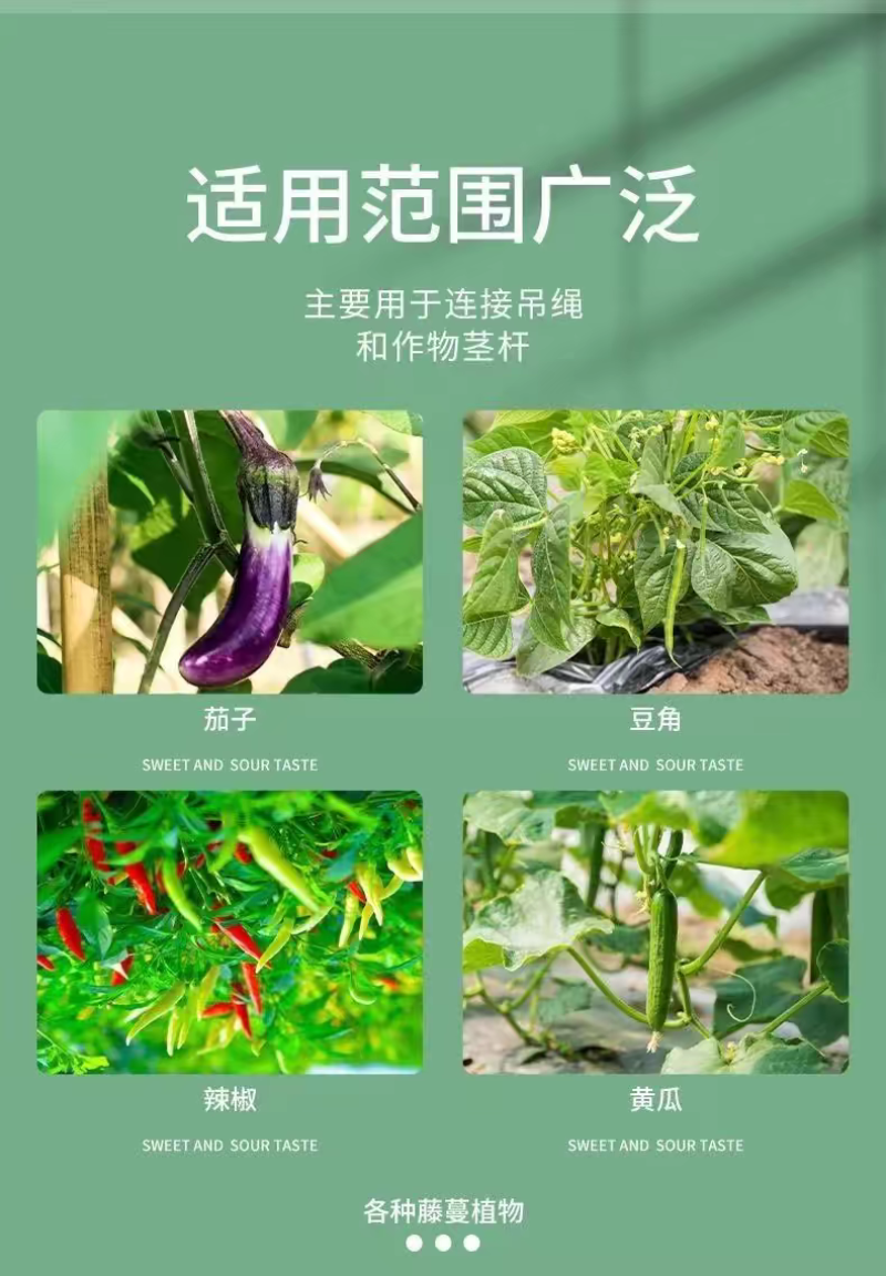 绿植果树植物固定夹卡扣藤蔓固定器秧苗爬藤支撑杆果蔬秧苗吊秧夹