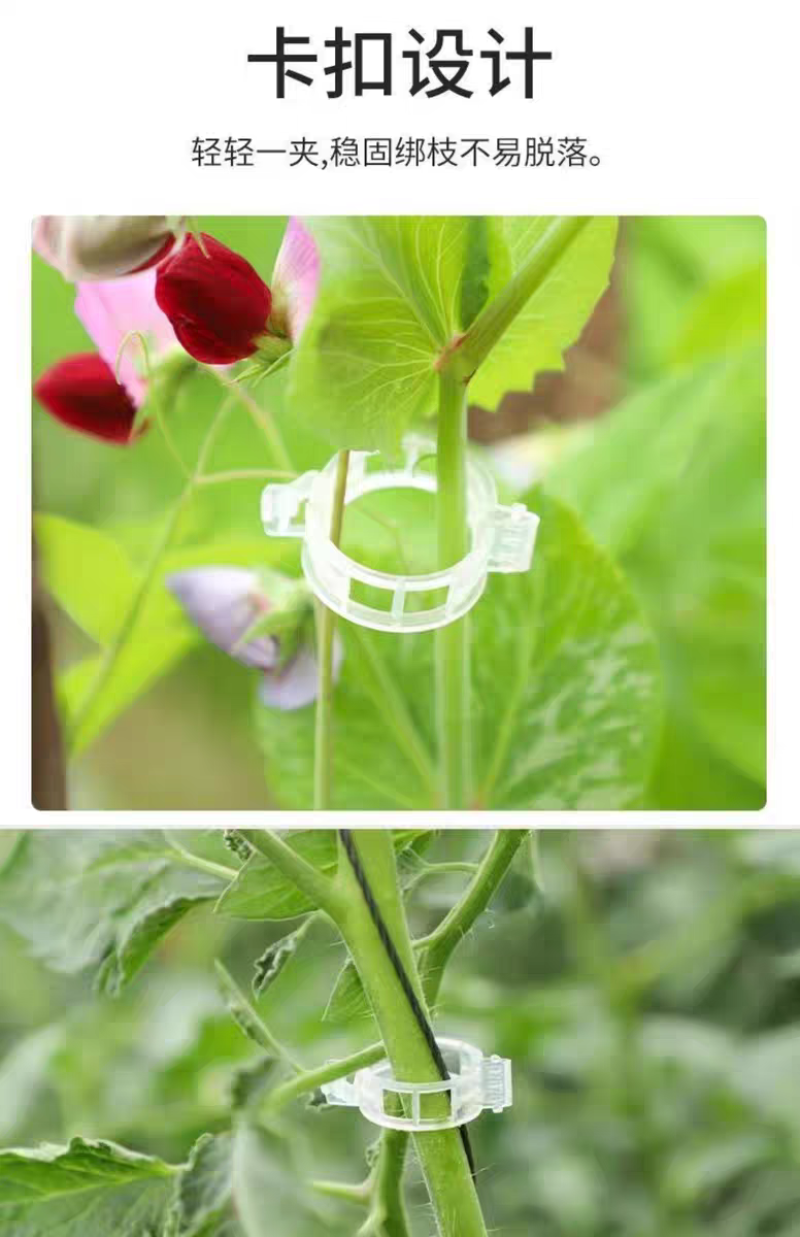 绿植果树植物固定夹卡扣藤蔓固定器秧苗爬藤支撑杆果蔬秧苗吊秧夹