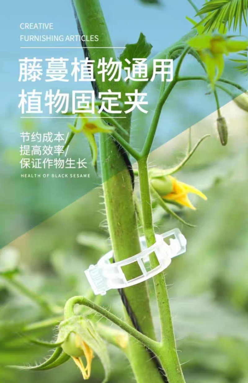绿植果树植物固定夹卡扣藤蔓固定器秧苗爬藤支撑杆果蔬秧苗吊秧夹