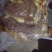 熟牛肉