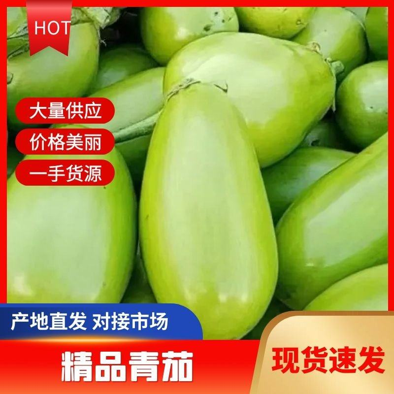 精品青茄子内黄产地发货对接全国量大从优诚信经营