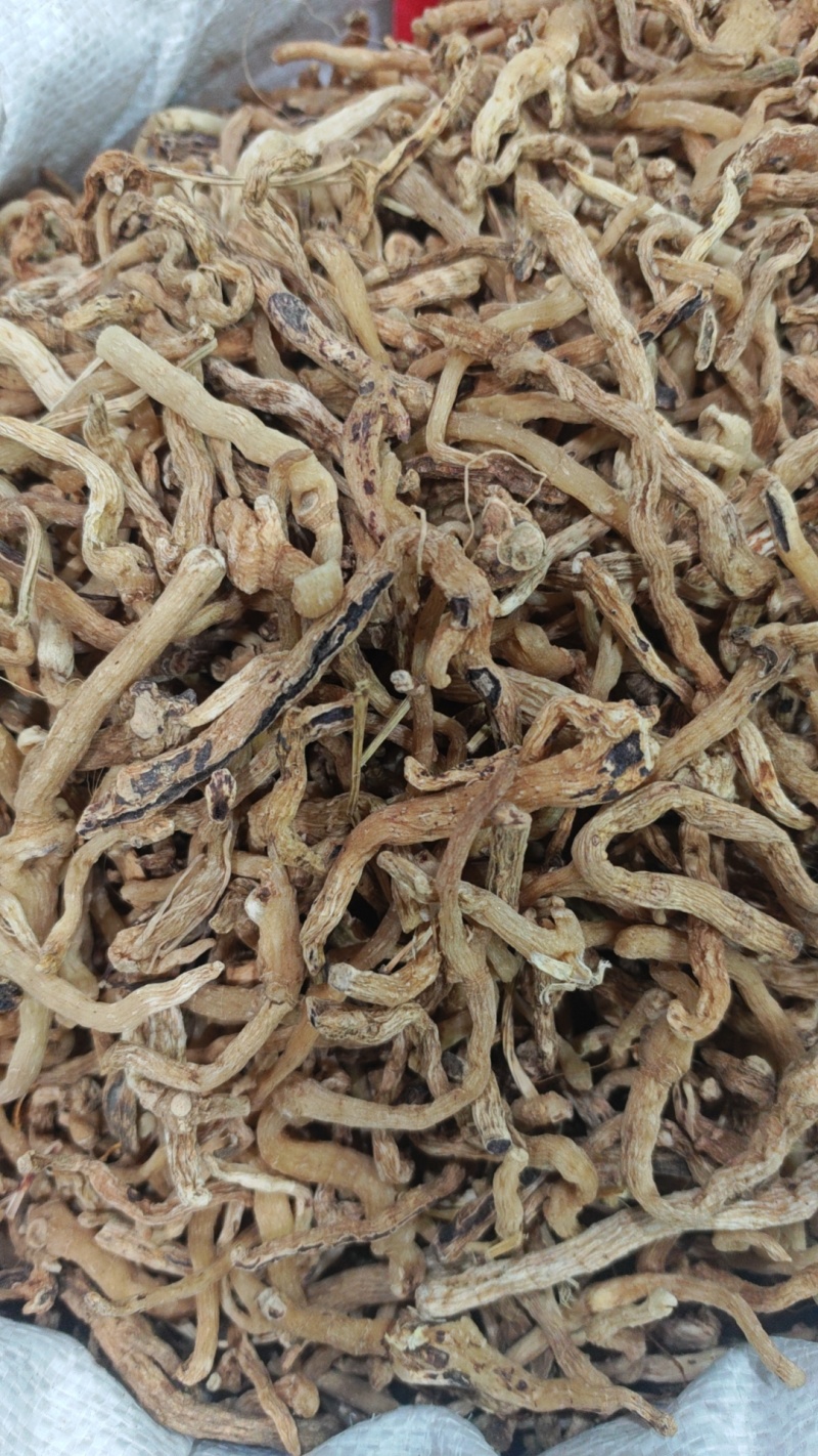 东北熟玉竹加工厂自加工一手货源包检测40吨