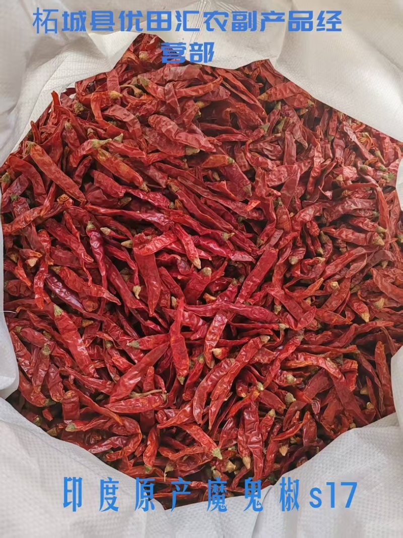 干辣椒诚信经营品种齐全价格美丽大量有货