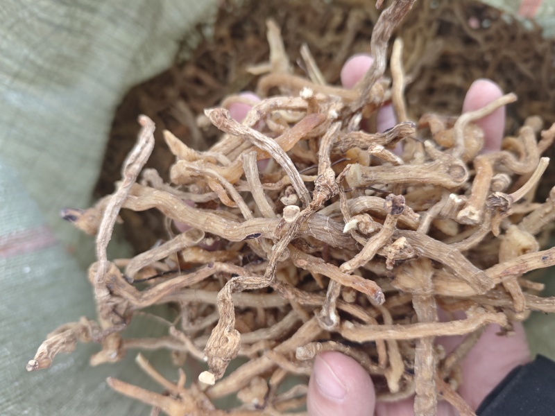 东北熟玉竹加工厂自加工一手货源包检测40吨