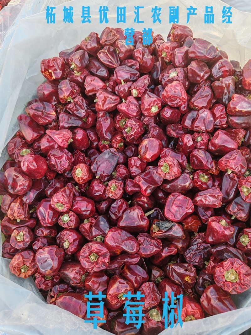 干辣椒诚信经营品种齐全价格美丽大量有货