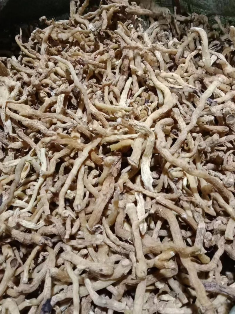 东北熟玉竹加工厂自加工一手货源包检测40吨