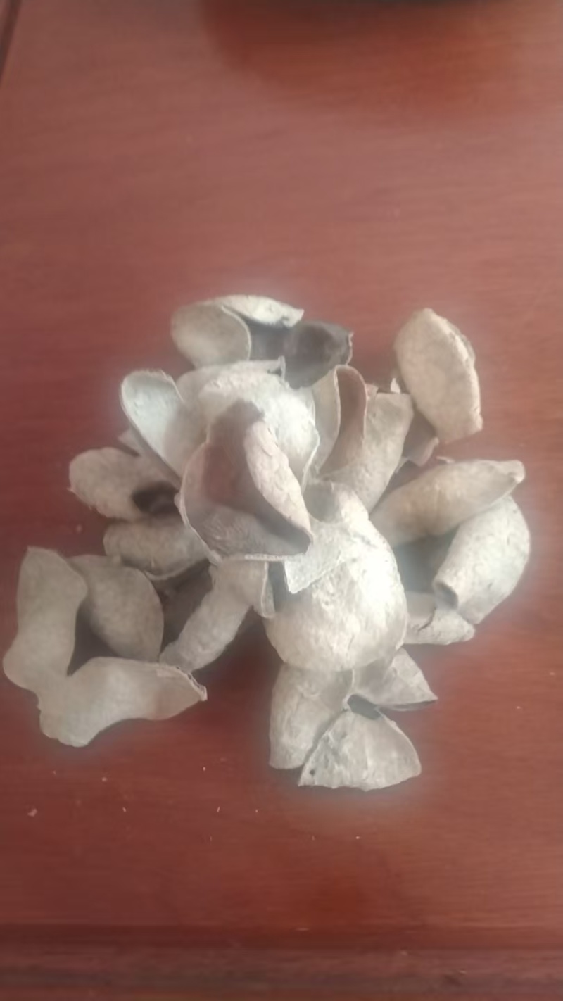 正宗陈皮***价格美丽抢购