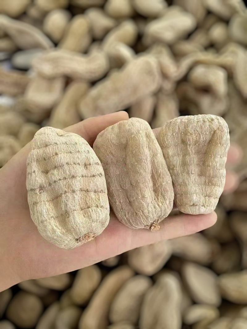 【量大优惠】云南昭通天麻产地直供品质保障可视频看货