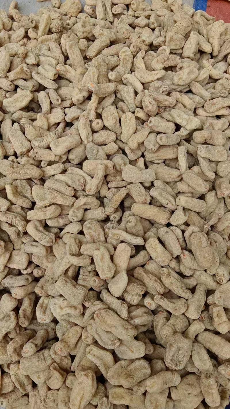 【量大优惠】云南昭通天麻产地直供品质保障可视频看货