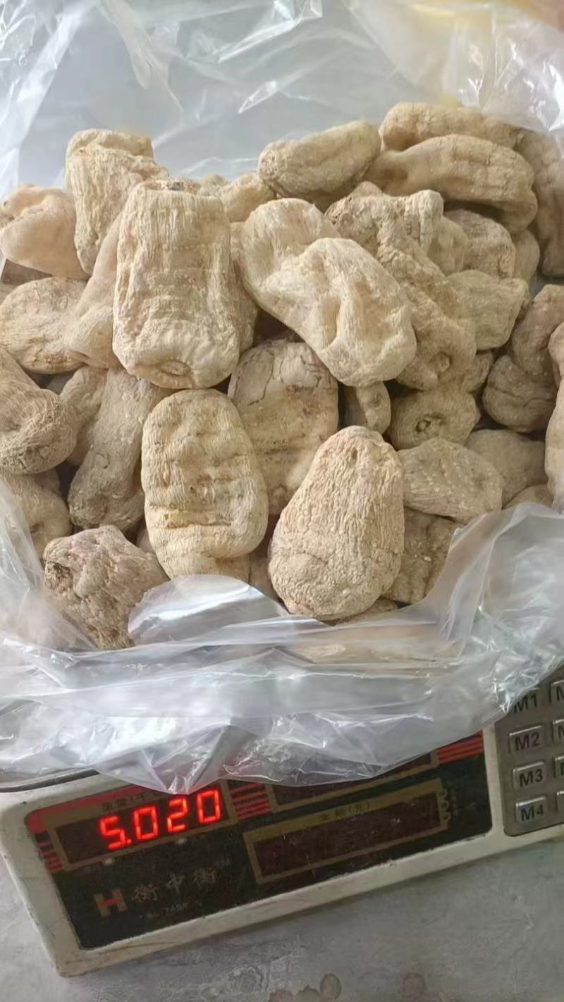 【量大优惠】云南昭通天麻产地直供品质保障可视频看货