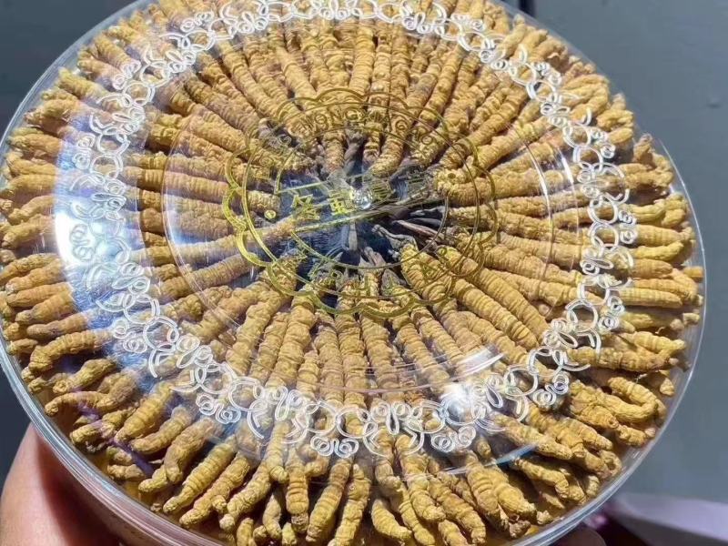 玉树虫草大量供应。精品发货，规格齐全，保质保量，包邮